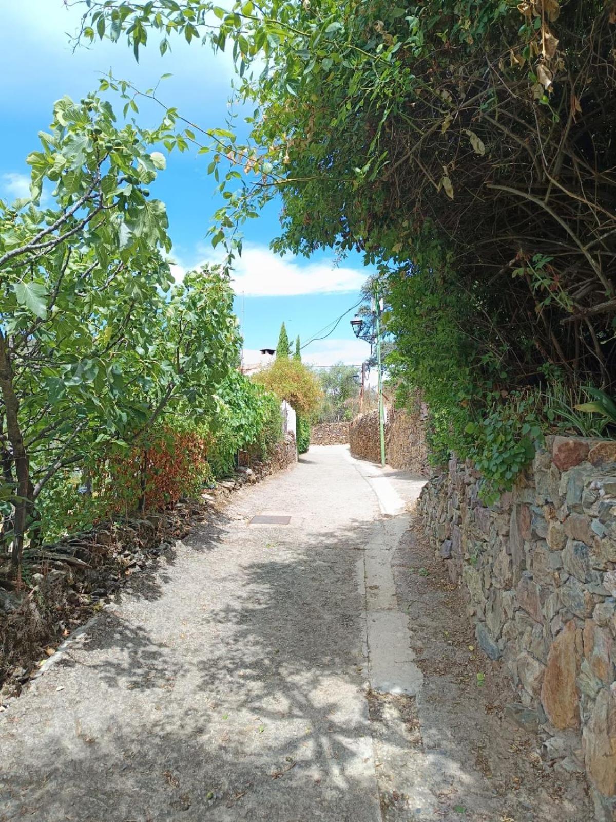 Casa Rural El Olivo Aracena Buitenkant foto