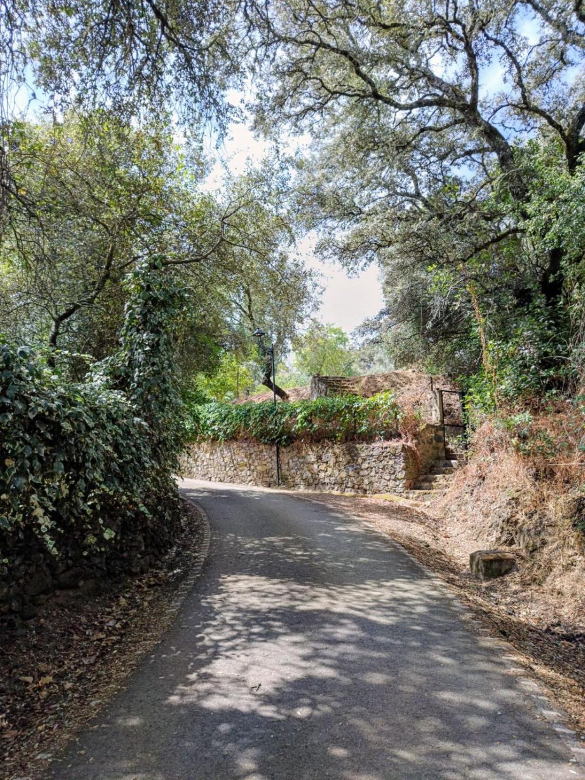 Casa Rural El Olivo Aracena Buitenkant foto