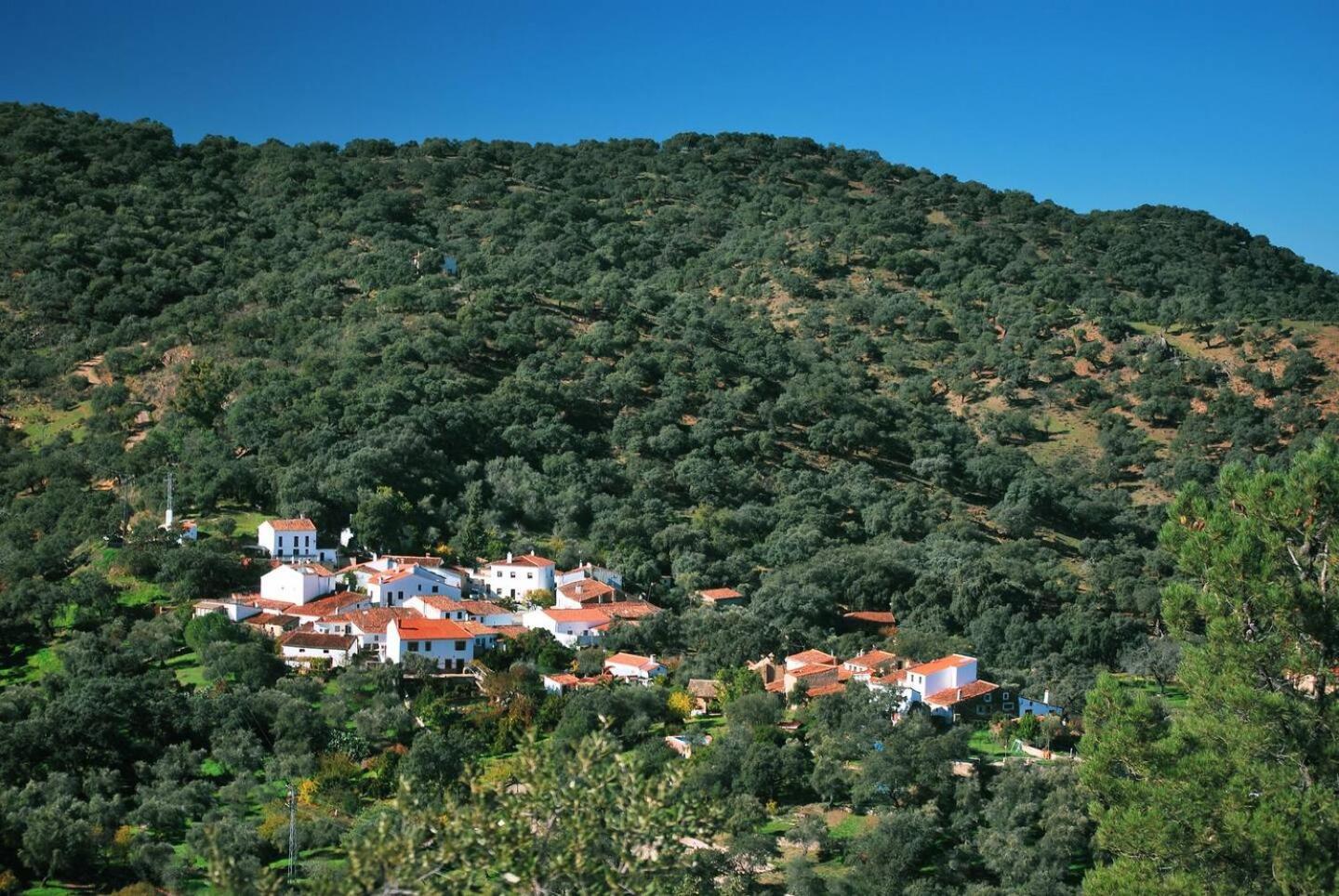 Casa Rural El Olivo Aracena Buitenkant foto